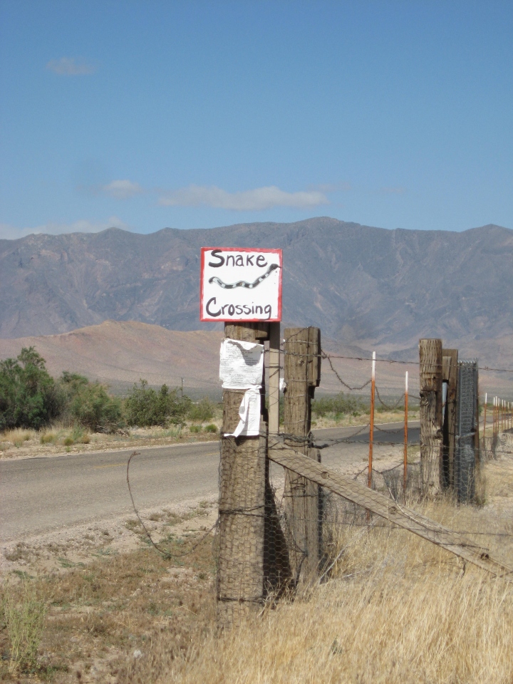 Snake Crossing Sign